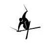 Storm Skiing Logo